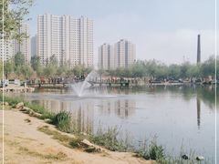 -前关湿地公园