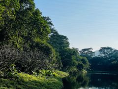 -番禺大夫山森林公园