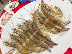 -花苑美食横琴生蚝火锅(拱北粤华路店)