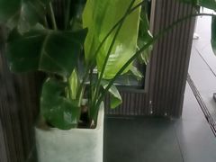 -阿伟海鲜楼·福建菜(涵江店)