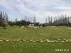 -上海长兴岛郊野公园