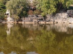 -北京西山国家森林公园