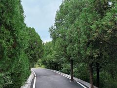 -佛慧山