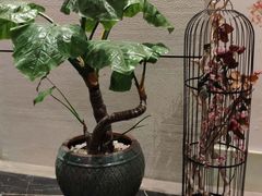 -同喜烤鸭店(光芒店)