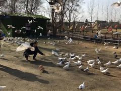 -南通洲际绿博园