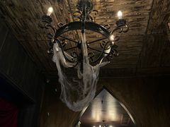 -雪灵魔法世界SHELLY’S TAROT(大良桂畔里店)