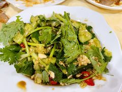 凉拌青瓜-电白鸭粥店(下沙二坊88号店)