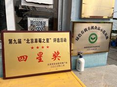 -大自然农场蔬菜草莓采摘园