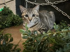 -逃脱反斗城沉浸剧情密室(北京路店)