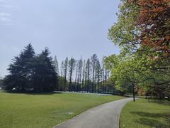 -上海滨江森林公园