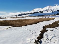 -新疆那拉提国家旅游度假区