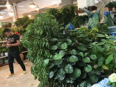 -双季花艺园艺市场(浦东店)