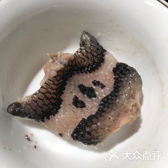 榕记·蛇宴眼镜蛇片图片-北京火锅-大众点评网