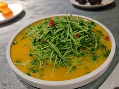 尼泊尔金汤豌豆苗-肴约·花园式餐厅(湖里店)