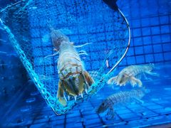 -协成海鲜火锅(情侣路店)