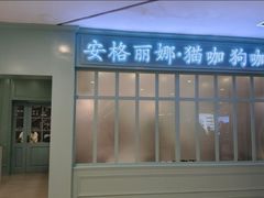-安格丽娜·狗咖·猫咖羊驼咖(春熙路百盛商场店)