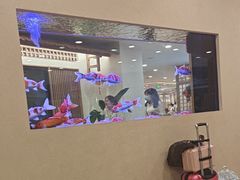 -庐州太太(南七里店)