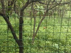 -二当家山庄(崮五路店)