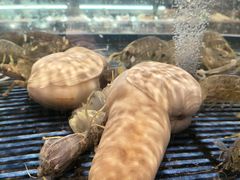 -小厨师·二十年沈家门小海鲜(百井坊巷店)