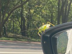 -五女峰国家森林公园
