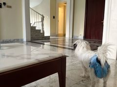 -广州锦绣香江度假别墅