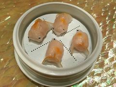 -8餐厅(新葡京酒店)