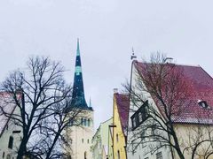 景点-塔林历史中心