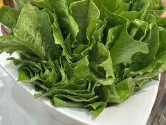-懂羊帝·羊蝎子·北京菜(小关店)