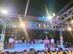 -渔家火锅·海鲜自助餐·演艺(亚龙湾天域酒店)