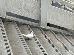 -六祖寺