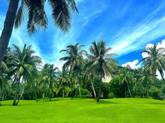 -海南清水湾莱佛士酒店