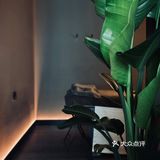 You look good 