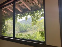 -中国茶叶博物馆(双峰馆区)