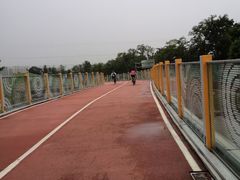 -白鹭湾湿地公园