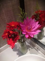 -妈妈时光机医疗产后修复(南山茂业百货店)