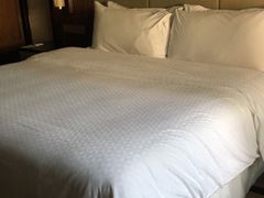 -成都安仁福朋喜来登酒店