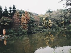 -云溪植物园