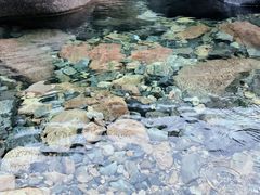-石台牯牛降景区