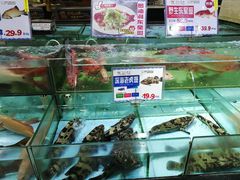 水产区-渔民新村(番禺总店)