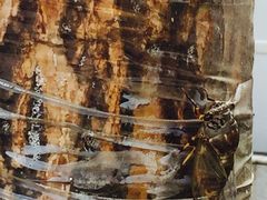 -北京国家会计学院