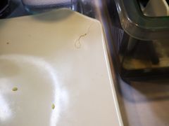 -洞味圆茶餐厅(嘉立店)