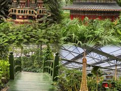 -南宫五洲植物乐园