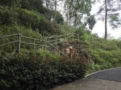 -白云山风景名胜区