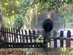 -国生茶庄·地道农家菜团建活动