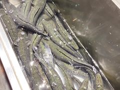 -黑鱼郭我家酸菜鱼(摩尔广场店)