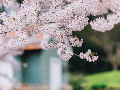 -青岛中山公园-索道售票处