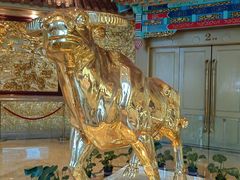 -华西龙希大酒店旅游观光区