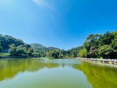 -广州市帽峰山景区