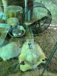 -Zoolung Zoolung动物主题公园(海信广场店)