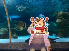 -大连圣亚海洋世界